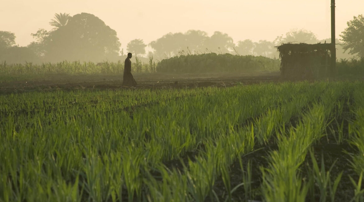 Fertiglobe - 2021 - Agricultural Photos - 2